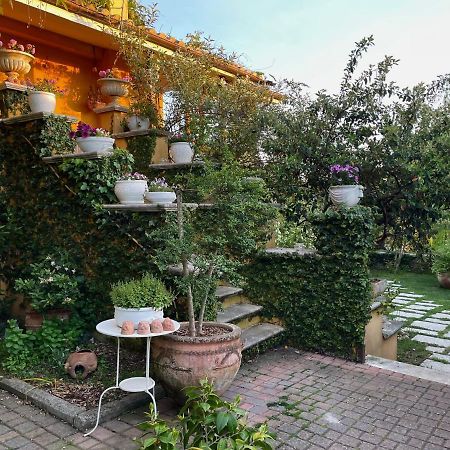 Home Sweet Home Gallicano nel Lazio Exterior foto
