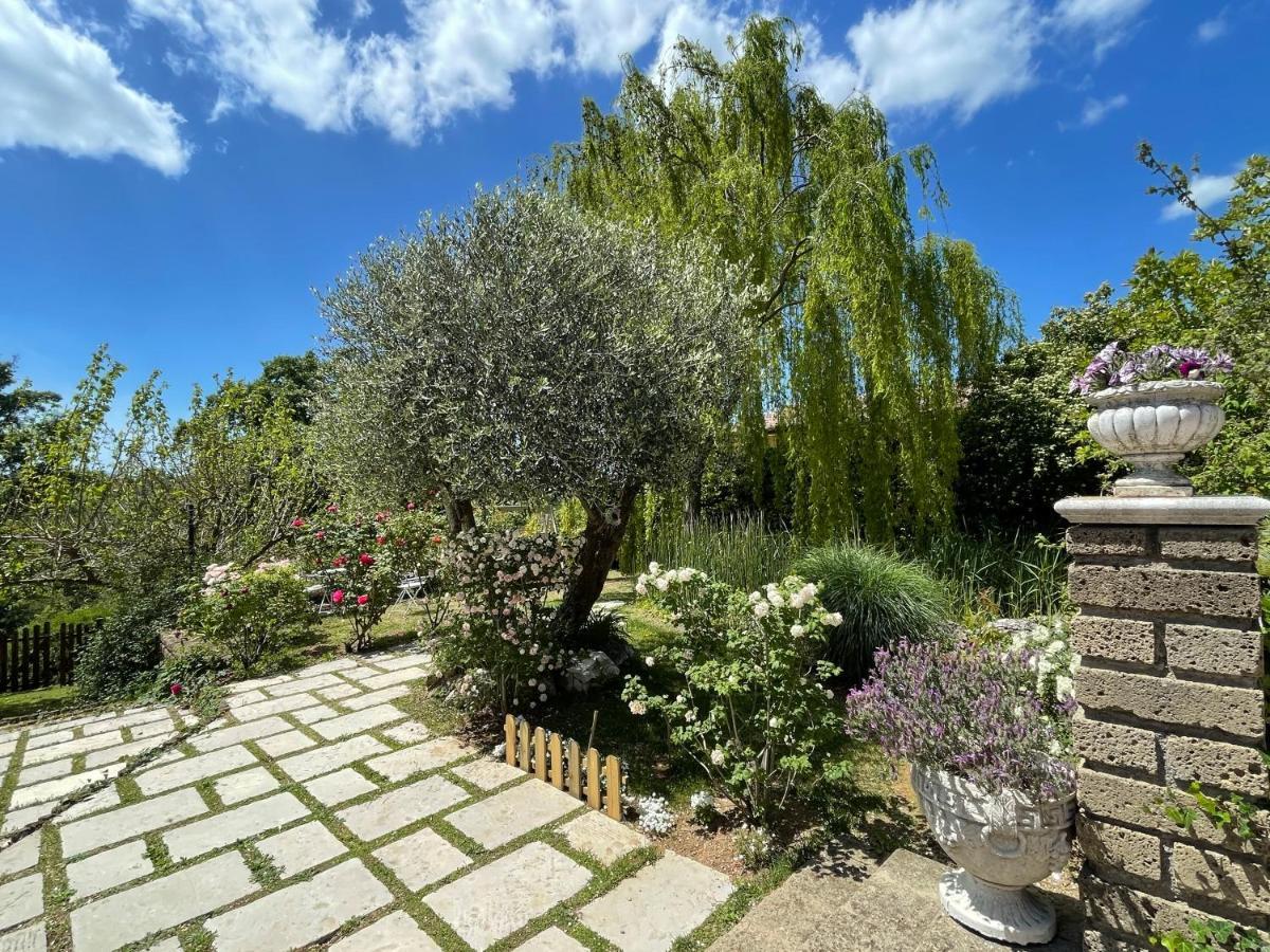 Home Sweet Home Gallicano nel Lazio Exterior foto