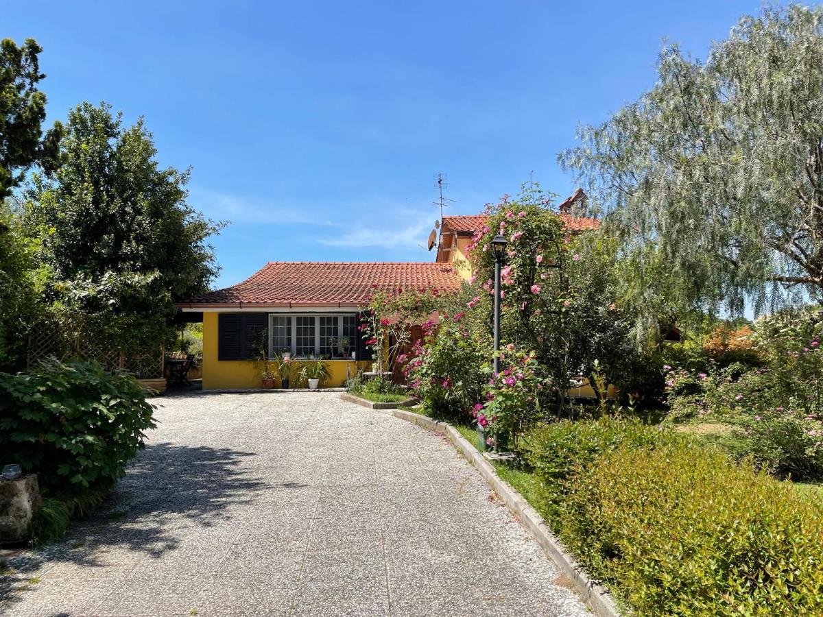 Home Sweet Home Gallicano nel Lazio Exterior foto