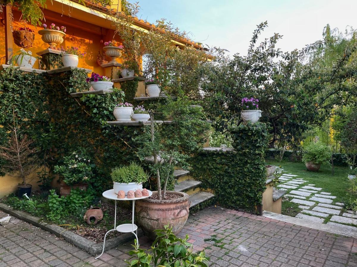 Home Sweet Home Gallicano nel Lazio Exterior foto
