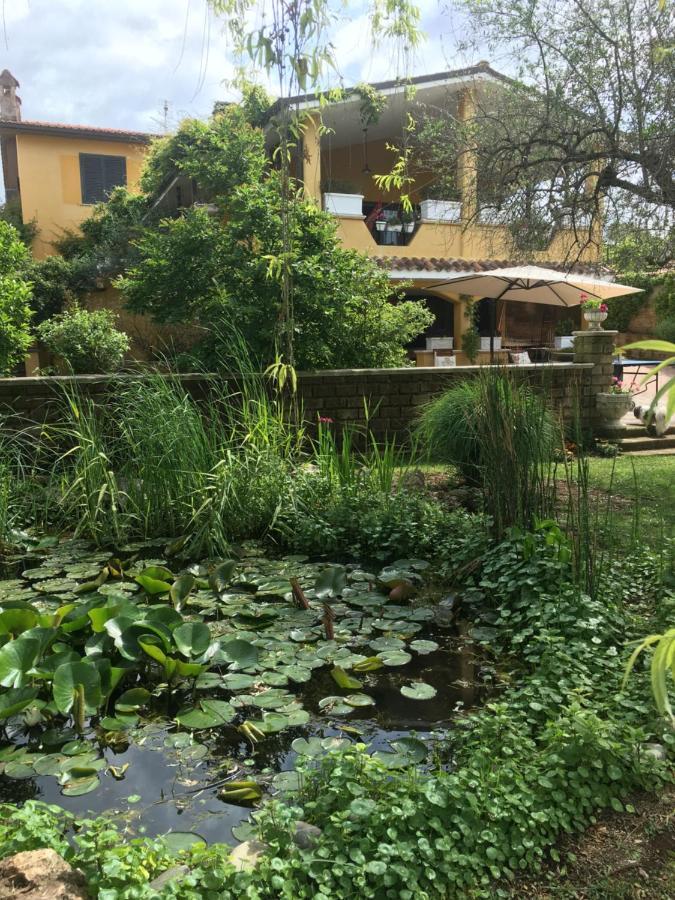 Home Sweet Home Gallicano nel Lazio Exterior foto